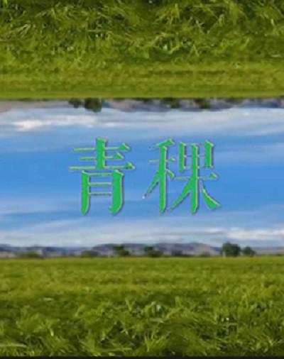 [BT下载][青稞][全3集] [国语配音/中文字幕][1080P]