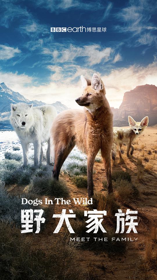 [BT下载][野犬家族][全3集][中文字幕][4K-2160P]