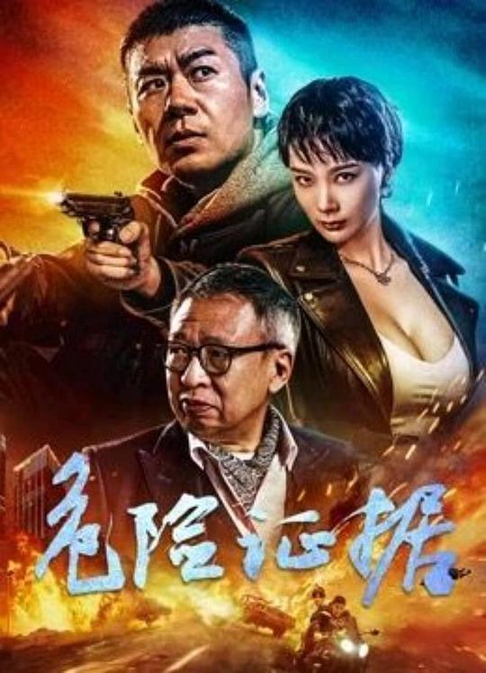 [BT下载]2024动作《危险证据》4K.HD国语中字