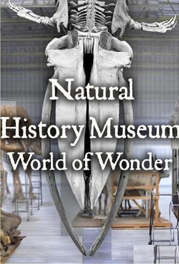 [BT下载][英国自然历史博物馆：神奇世界 Natural History Museum 第一季]...