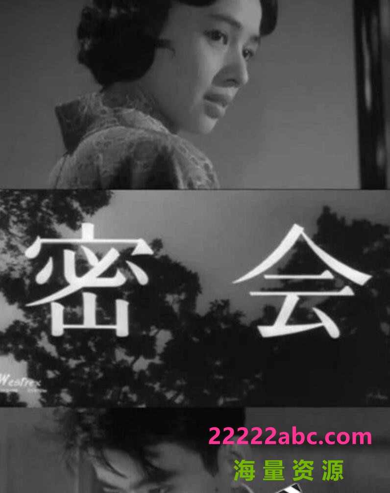 [BT下载] 1959日本悬疑《密会》DVDRip.日语中字