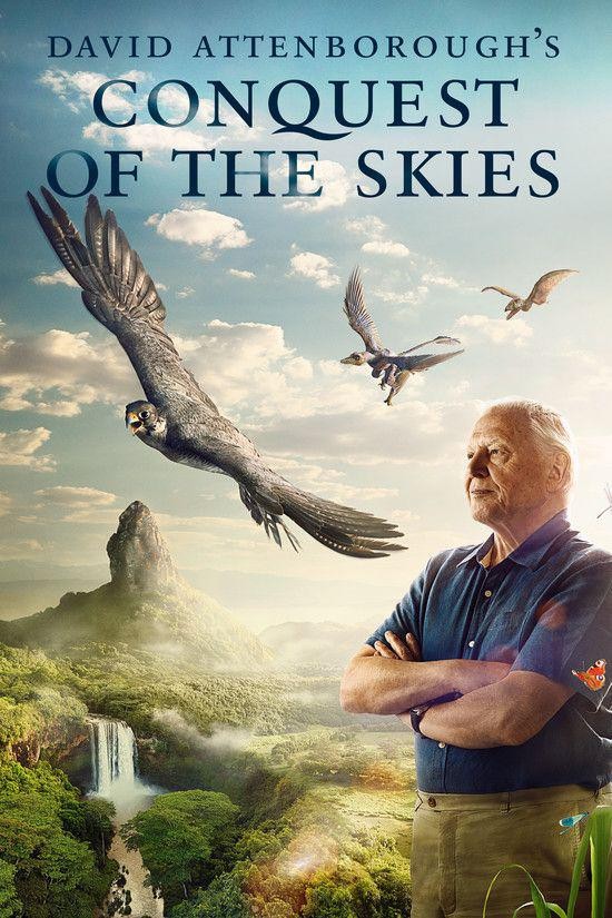 [BT下载][征服天穹/David Attenborough's Conquest of the Skies][全3集] [英国][纪录片][2014] [英语中字][1080P]