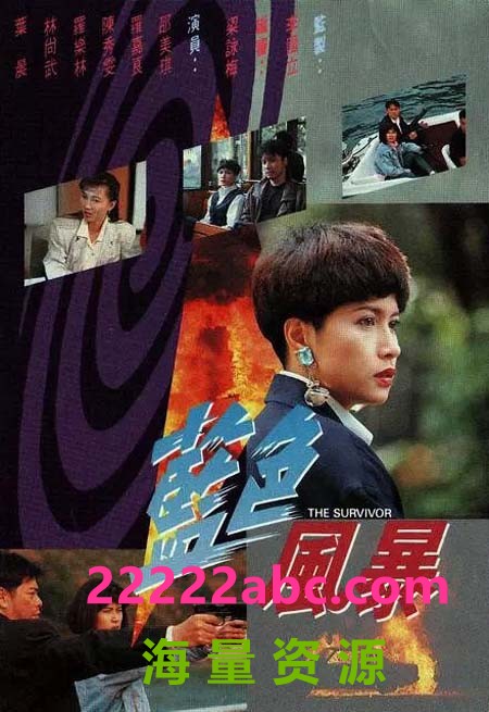 [BT下载][TVB][1991][蓝色风暴][罗嘉良/邵美琪/陈秀雯][20集全/每集约700MB]国语中字/硬字幕/][宽屏版]