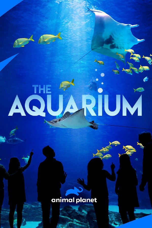 [BT下载][水族馆/The Aquarium 第二季][全集]