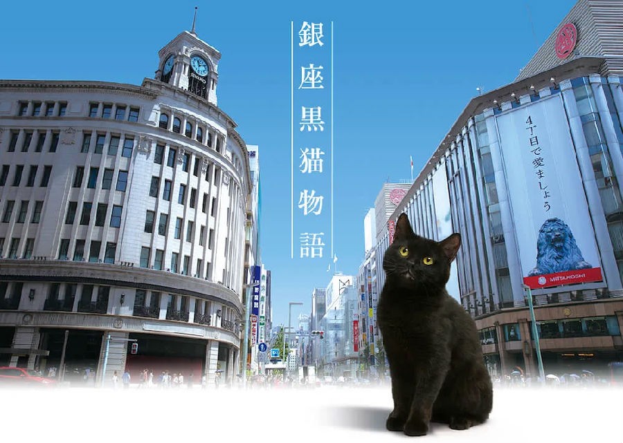 [BT下载][银座黑猫物语][全集]