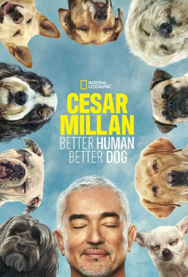 [BT下载][Cesar Millan: Better Human Better Dog 第一季][全集]