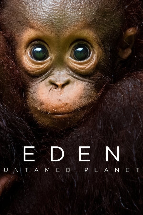 [BT下载][伊甸园：最后的秘境 Eden: Untamed Planet 第一季][全6集]