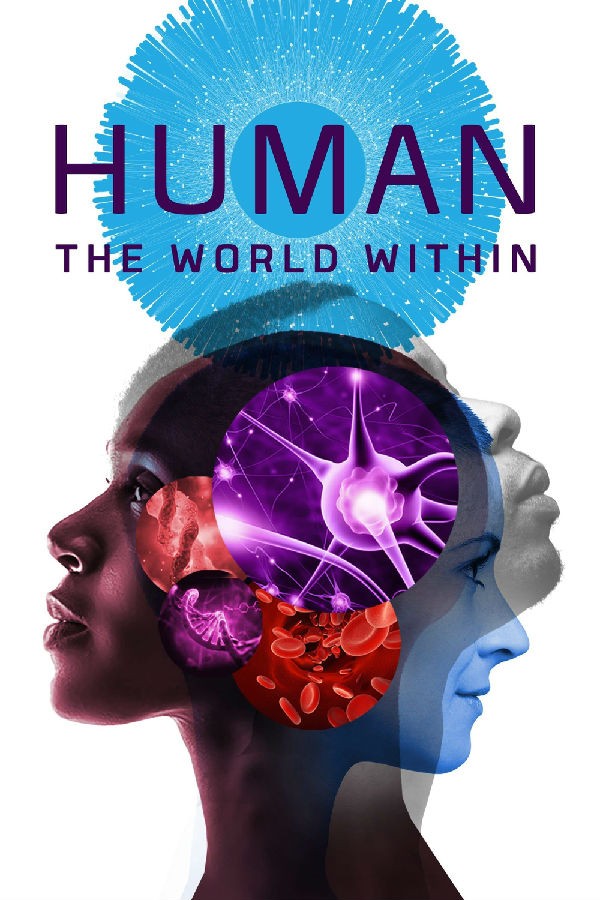 [BT下载][人类：体内的世界 Human: The World Within][全06集][英语中字]