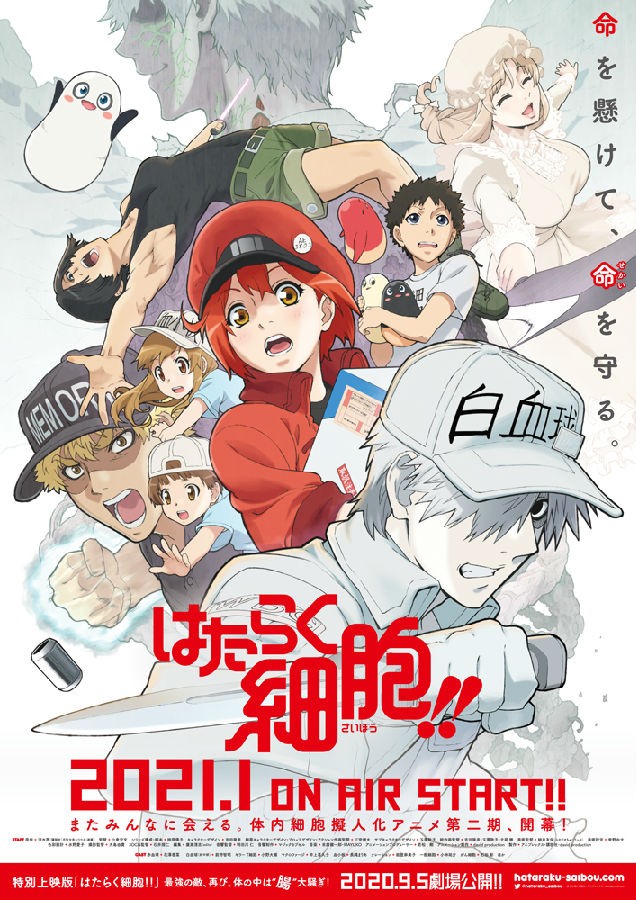 [BT下载][工作细胞 Hataraku Saibou!! 第2季][全集][日语中字]