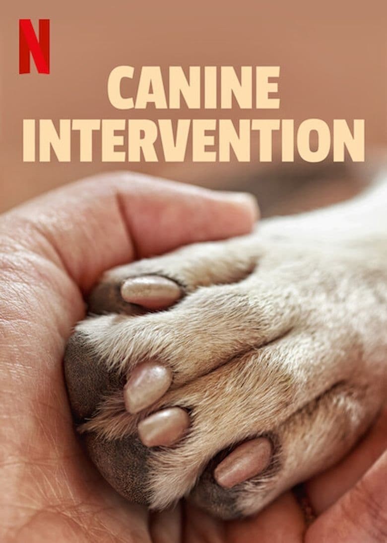 [BT下载][驯犬师/犬类干预/Canine Intervention][全06集]